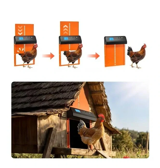 Automatická dvířka do kurníku s časovačem a ochranou proti přiskřípnutí – oranžová