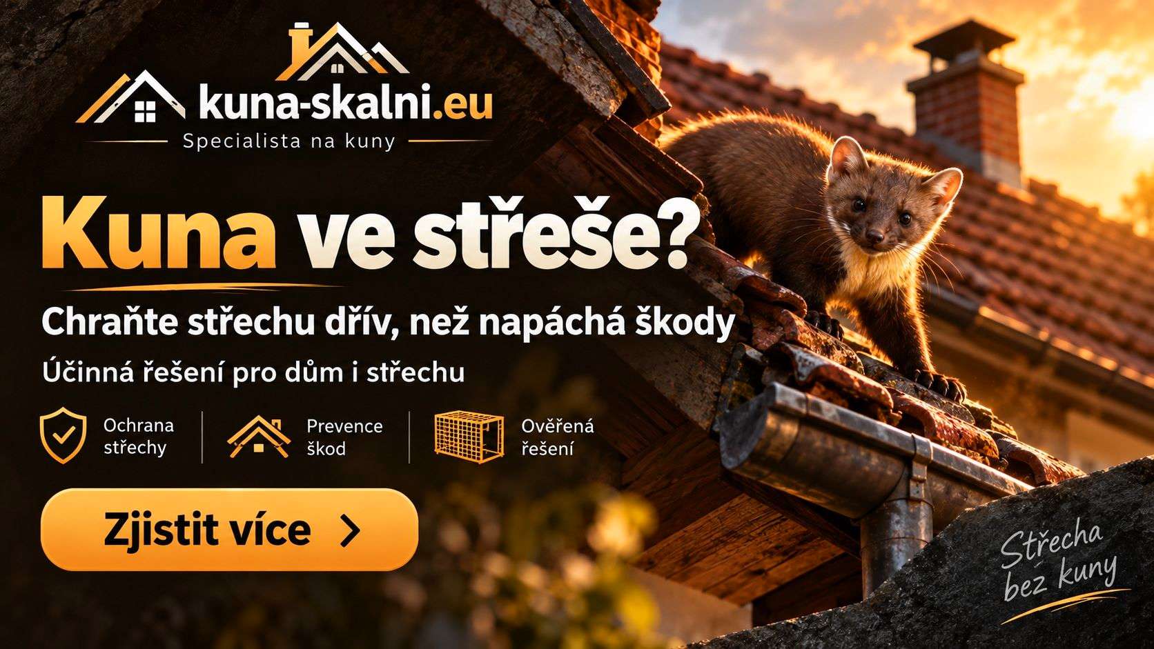 Jak se zbavit kuny ve střeše