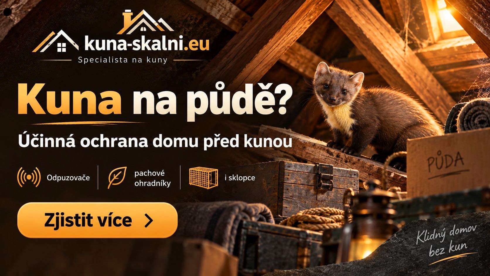 Jak vyhnat kunu z půdy?