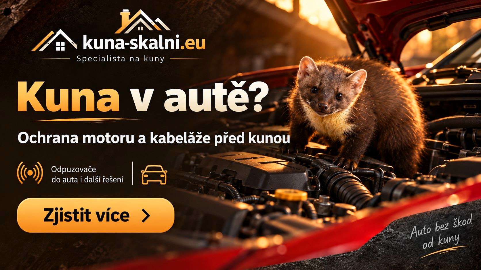 Jak vyhnat kunu z auta?